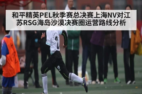 和平精英PEL秋季赛总决赛上海NV对江苏RSG海岛沙漠决赛圈运营路线分析